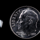 Image for article titled Shark Bite Mystery Solved 25 Years Later Thanks to Tooth Tweezed From Foot